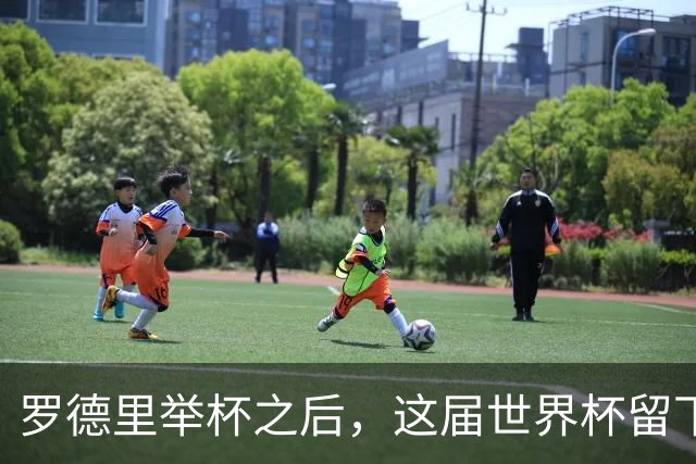 罗德里举杯之后，这届世界杯留下了一地“不可能”奖杯传过罗德里的手，西班牙人站在最高处