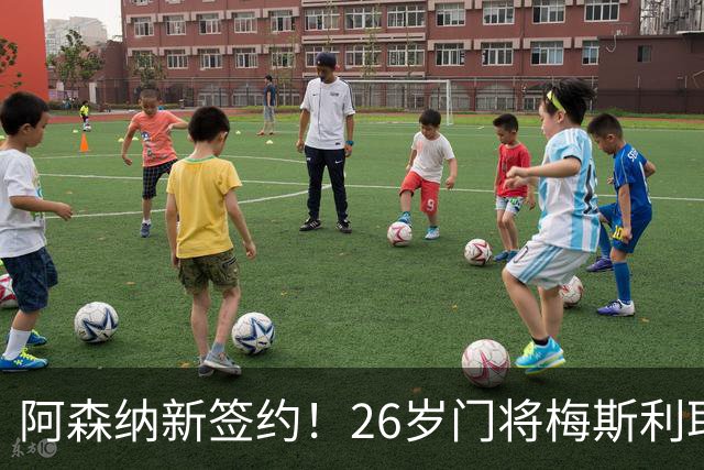 阿森纳新签约！26岁门将梅斯利耶免费加盟，成为拉亚的替补人选