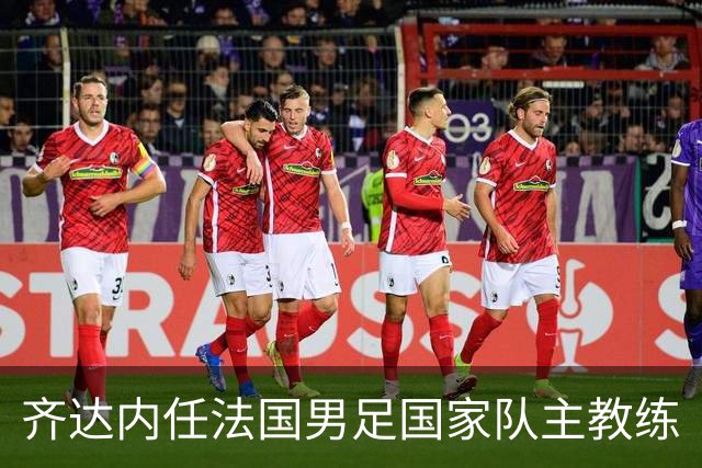 齐达内任法国男足国家队主教练